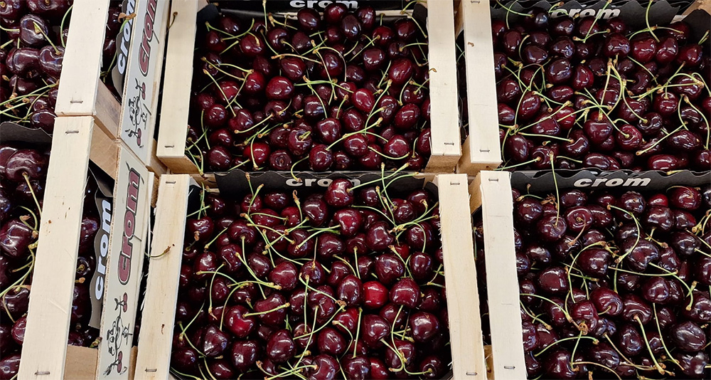 Ciliegia cal.32+ - Spagna - 7/7,5 euro al chilogrammo